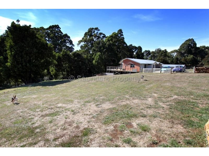 Mount Hicks TAS 7325