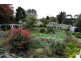 Flowerdale TAS 7325