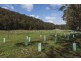 269 Pumping Station Road, Forth TAS 7310