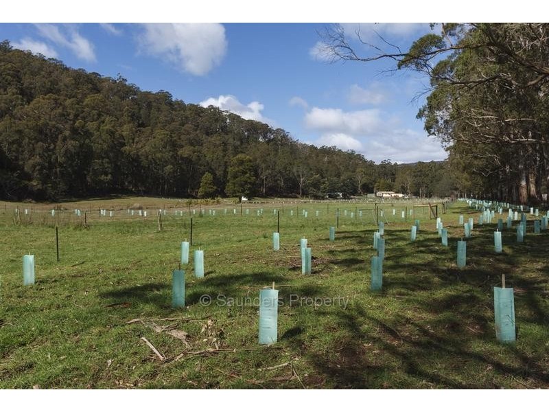 269 Pumping Station Road, Forth TAS 7310