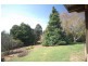 Sulphur Creek TAS 7316