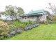 Barrington TAS 7306