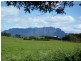 Barrington TAS 7306