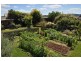Barrington TAS 7306