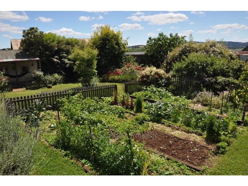 Barrington TAS 7306