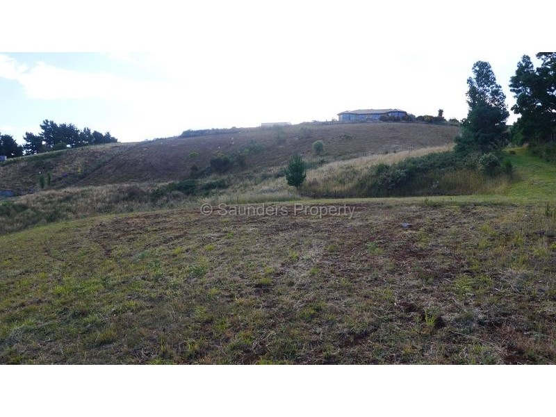 3A Linden Heights, Don TAS 7310