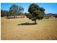 69 Linton Avenue, Heybridge TAS 7316