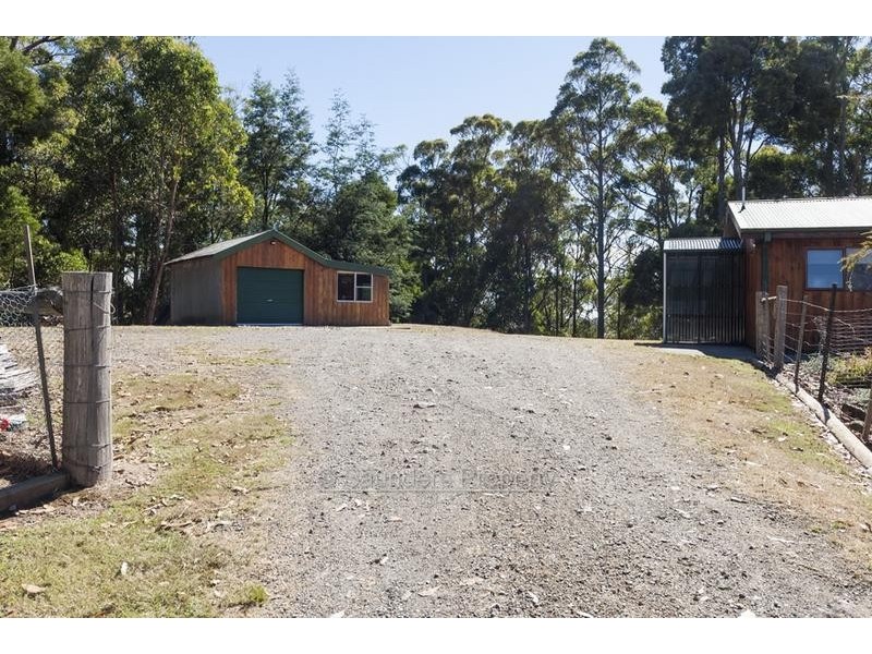 Nowhere Else TAS 7306