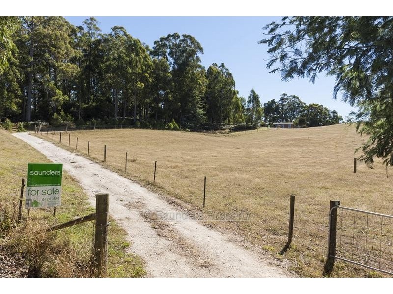 Nowhere Else TAS 7306