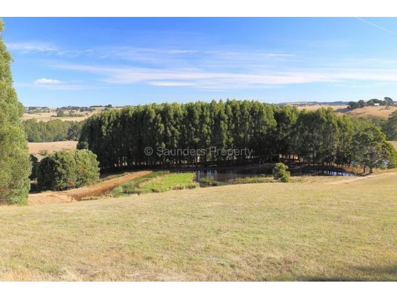 Mount Hicks TAS 7325