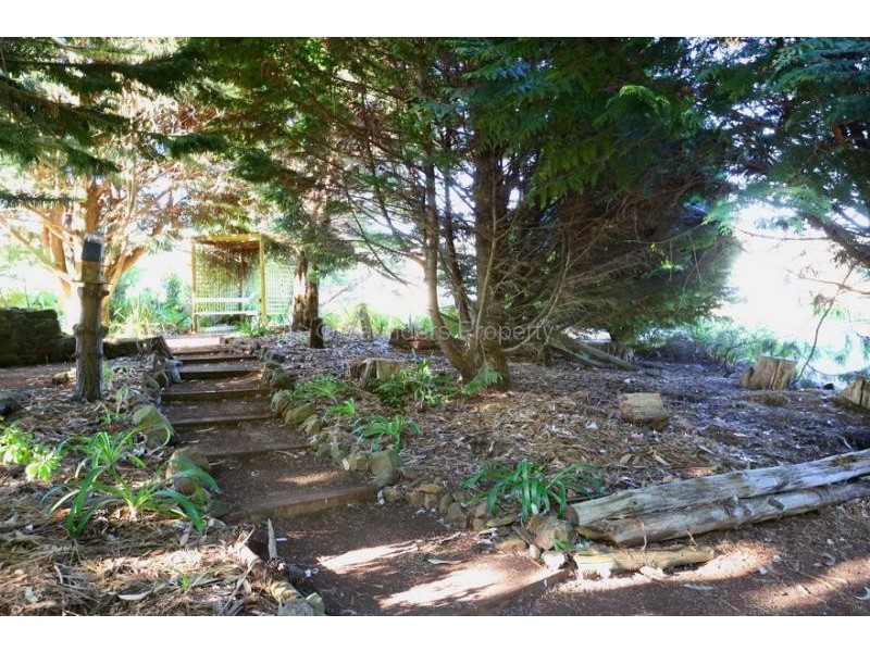 Mount Hicks TAS 7325