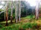 Mount Hicks TAS 7325