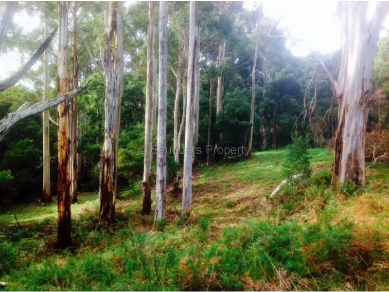 Mount Hicks TAS 7325