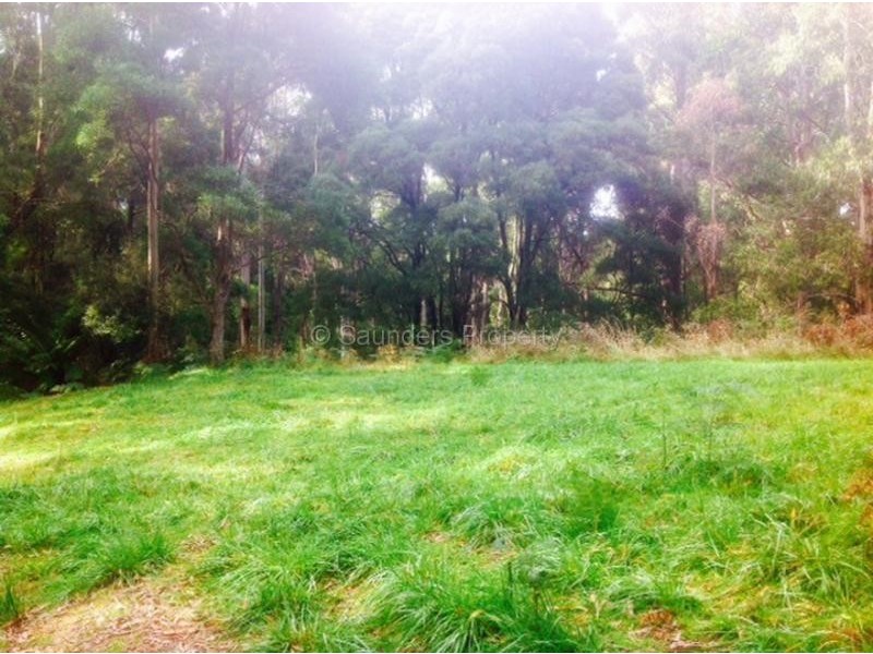 Mount Hicks TAS 7325