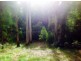 Mount Hicks TAS 7325