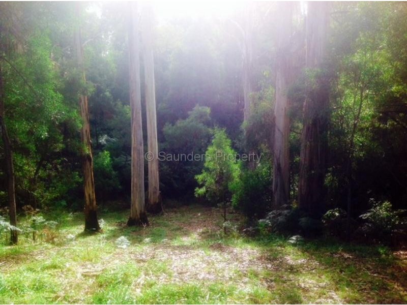 Mount Hicks TAS 7325