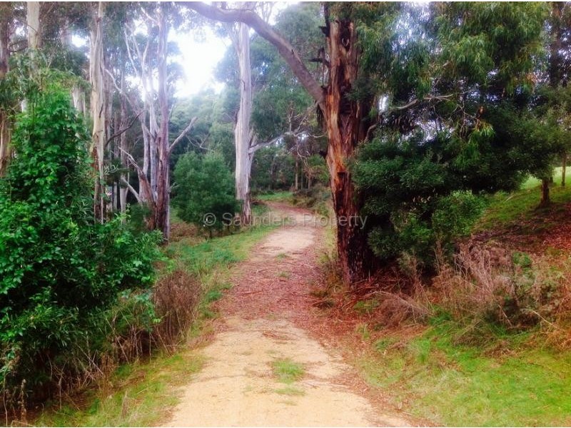 Mount Hicks TAS 7325