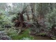 330 Back Cam Road, Somerset TAS 7322