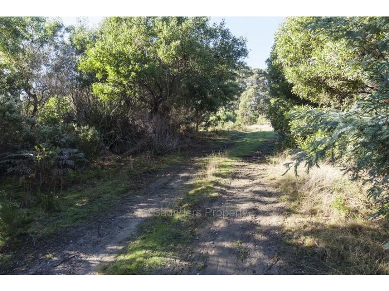 South Spreyton TAS 7310