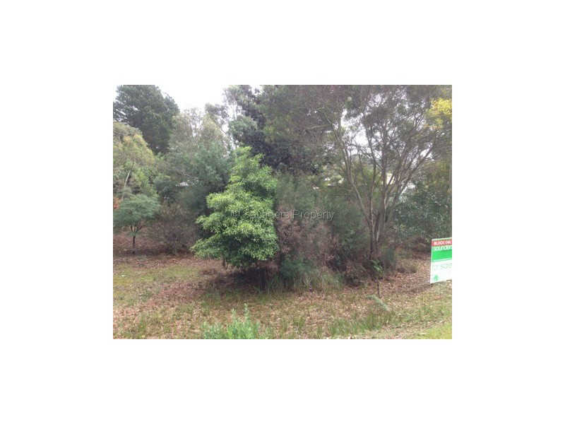 Sisters Beach TAS 7321