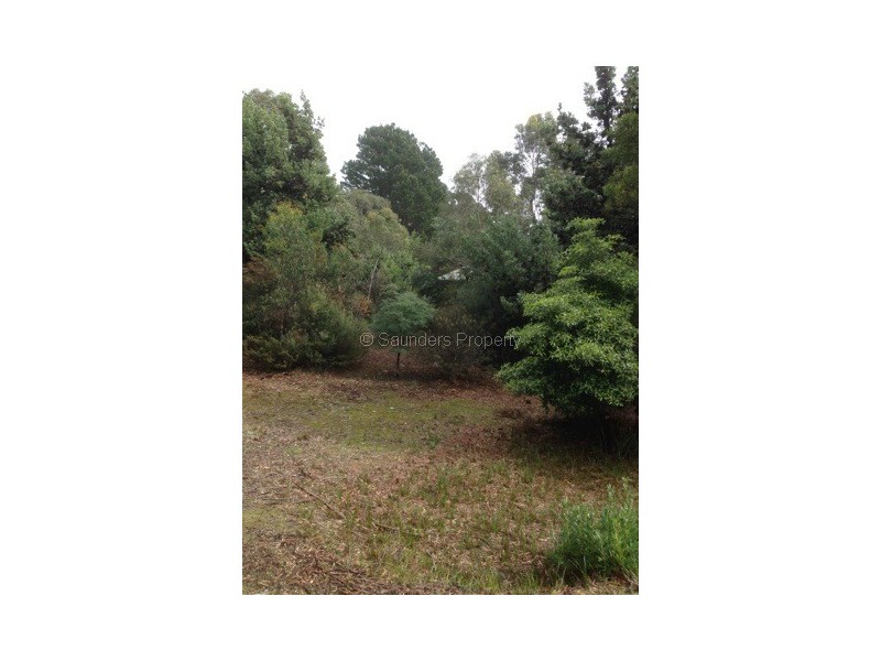 Sisters Beach TAS 7321