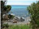 Boat Harbour Beach TAS 7321
