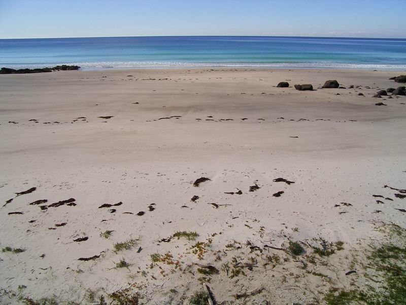 Boat Harbour Beach TAS 7321