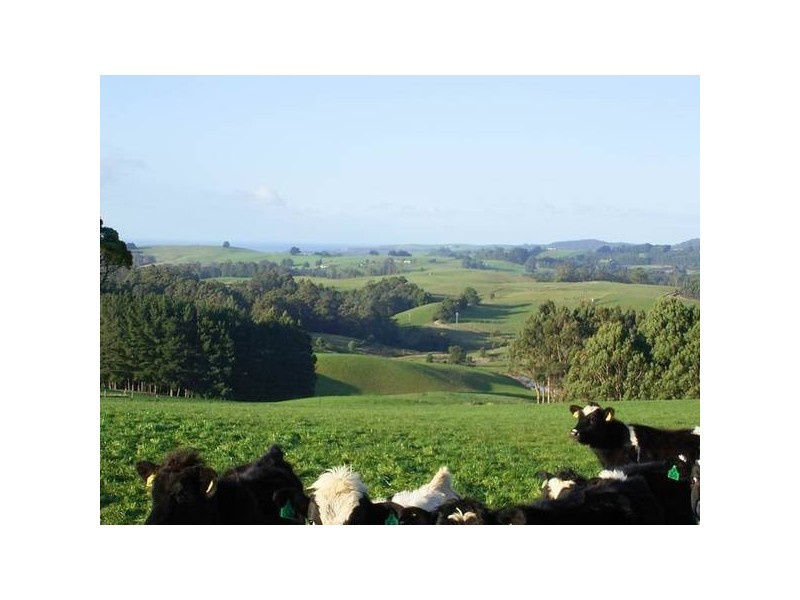 Mount Hicks TAS 7325