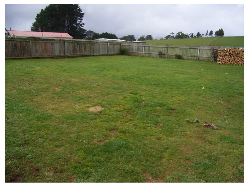 947 Ridgley Highway, Ridgley TAS 7321