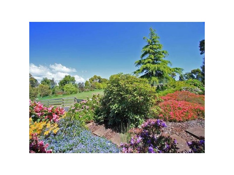 Mount Hicks TAS 7325