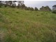 Sulphur Creek TAS 7316