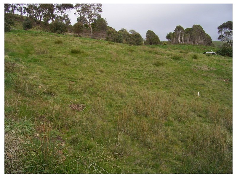 Sulphur Creek TAS 7316