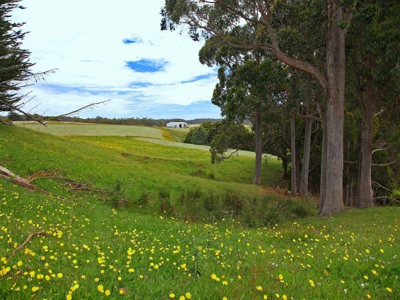 Upper Natone TAS 7321