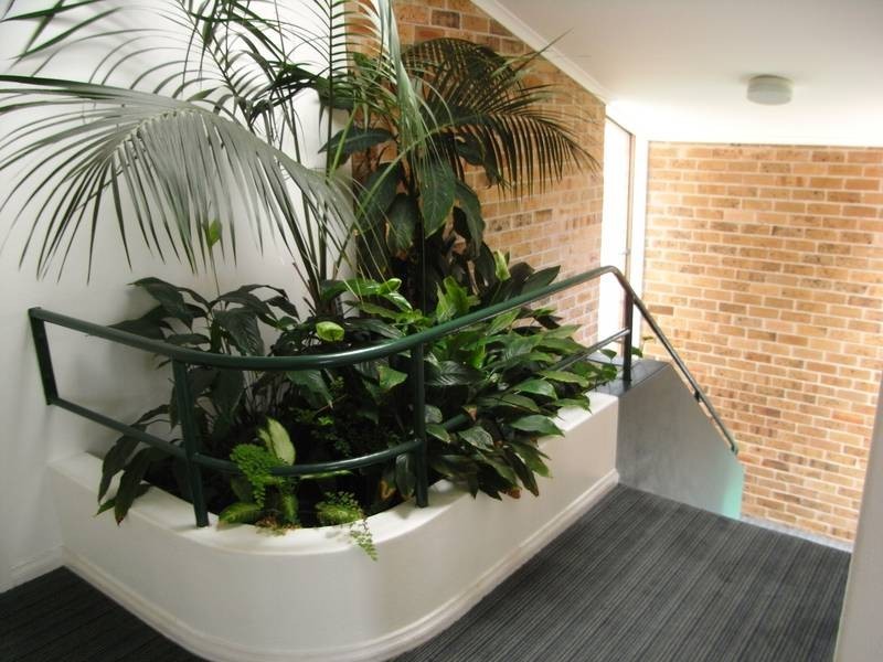 14/800 Military Road, Mosman NSW 2088