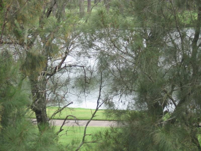 57/19 Santa Barbara Rd, Hope Island QLD 4212