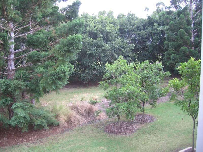 8858 MAGNOLIA DRIVE, Hope Island QLD 4212