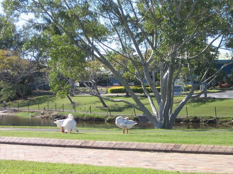 2046 The Estate, Sanctuary Cove QLD 4212