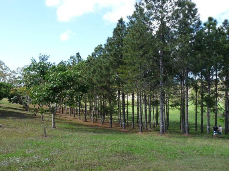 24A Rural View Drive, Mackay QLD 4740