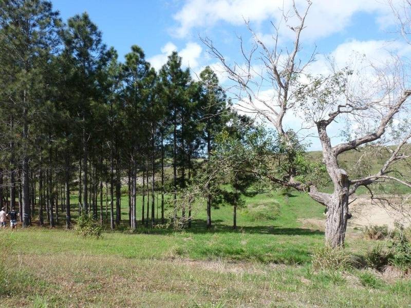 24A Rural View Drive, Mackay QLD 4740