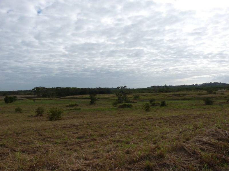 Lot 6 Avalon Drive, Bucasia QLD 4750