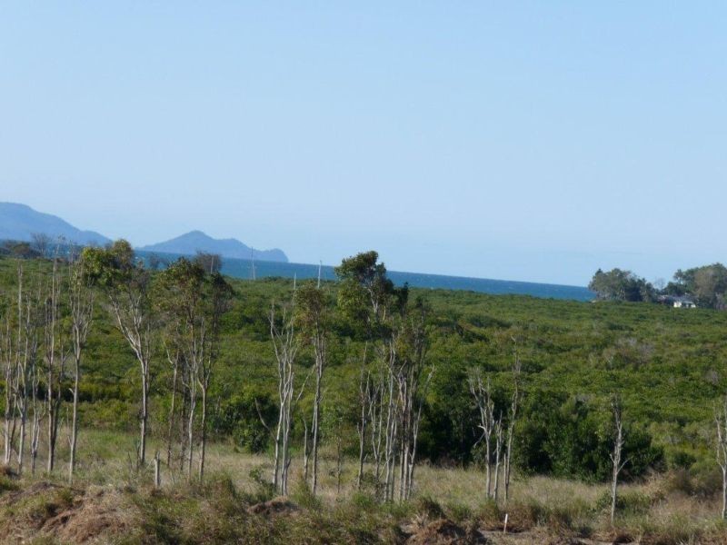 Lot 30 Avalon Drive, Bucasia QLD 4750