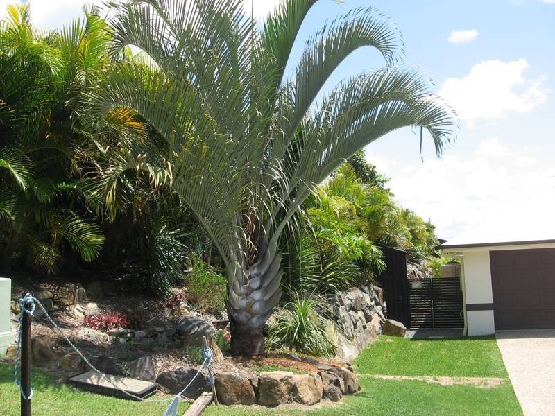 6 Kanangra Crescent, Pacific Pines QLD 4211