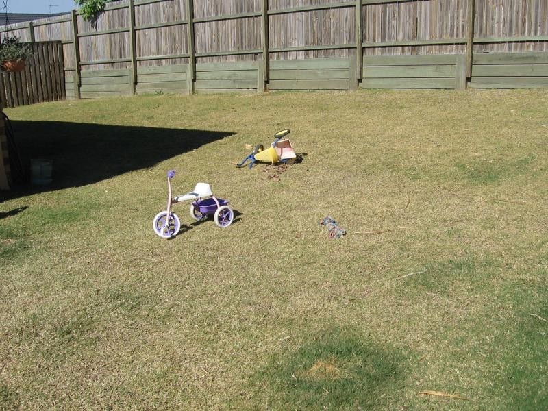 5 LACY LANE, Upper Coomera QLD 4209