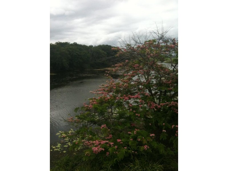 Lot 19 Charlotte Street, West Mackay QLD 4740