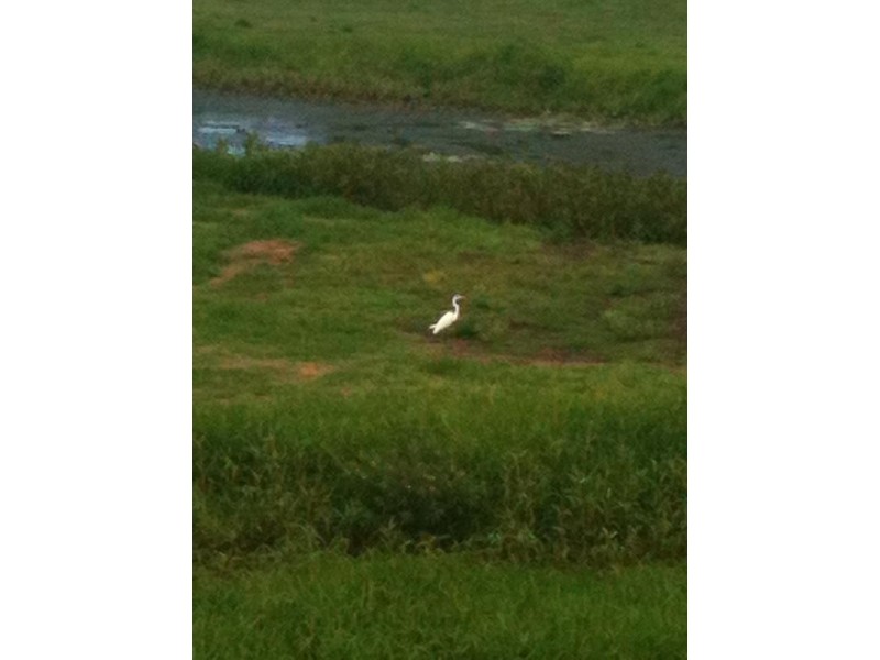 Lot 21 Charlotte Street, West Mackay QLD 4740
