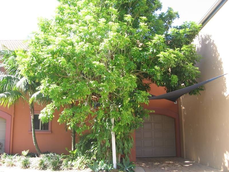 Hope Island QLD 4212