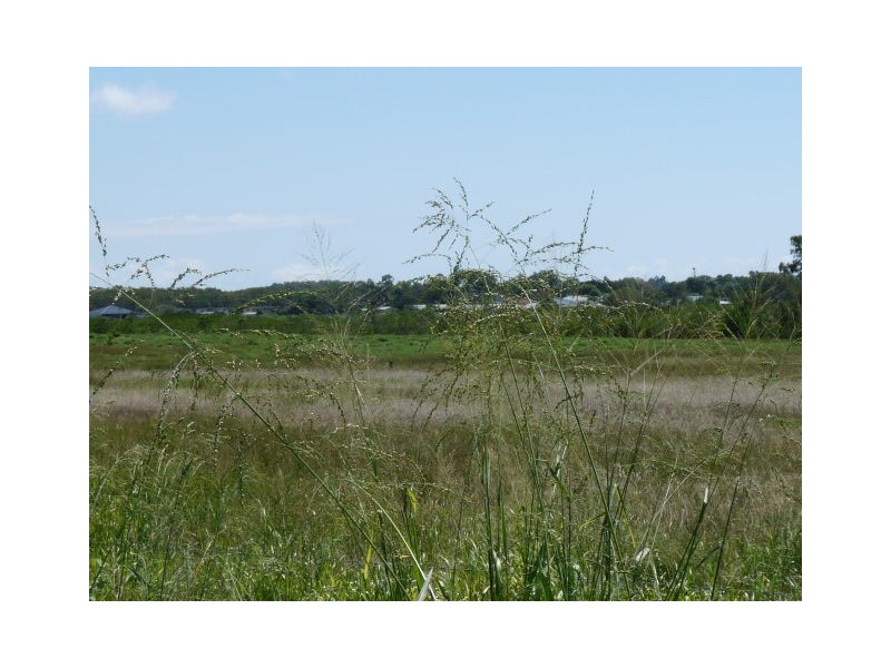 Lot 171 Williamtown Court, Bucasia QLD 4750
