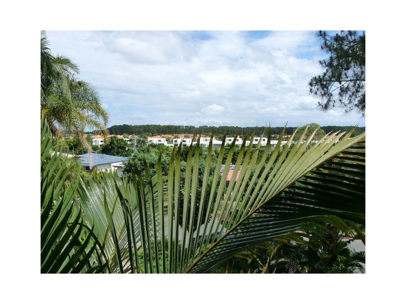 34 Jingella Street, Santa Barbara, Hope Island QLD 4212