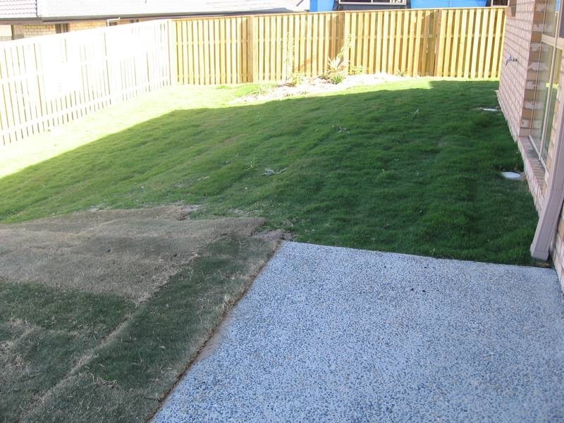 3 Bennett Way, Upper Coomera QLD 4209