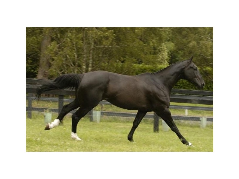 662 Myra Vale Road, Wildes Meadow NSW 2577